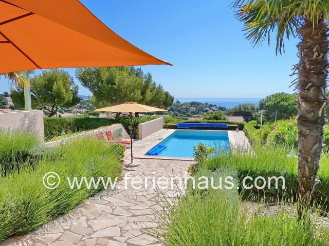 Lavendelblüte im Garten der Villa mit Pool in St. Aygulf, Südfrankreich