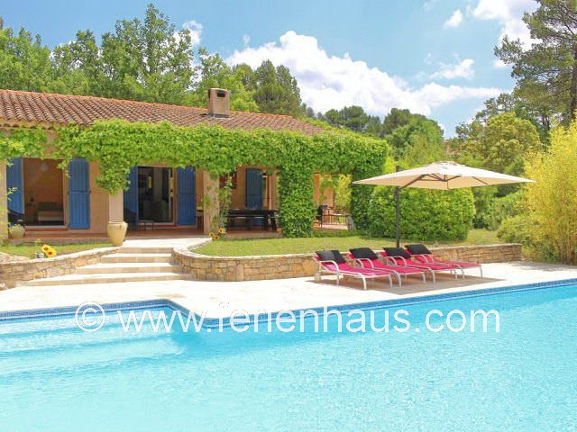 Ferienhaus Provence mit Pool bei Flayosc, außergewöhnlich großer Pool